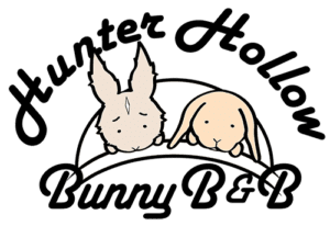 Hunter Hollow Bunny B&B